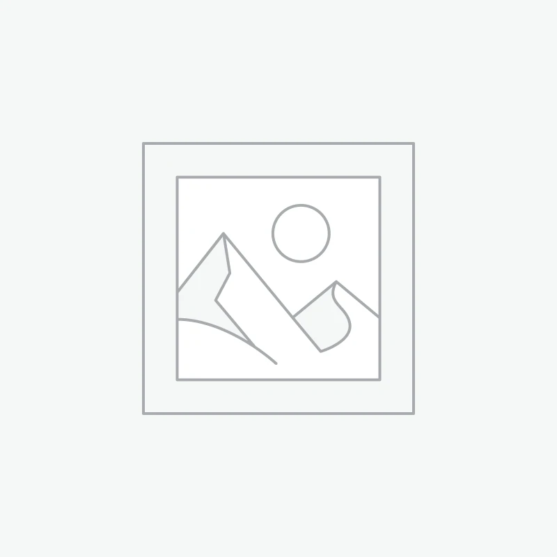 Antonio Madeira Dâo Vinhas Velhas 2019