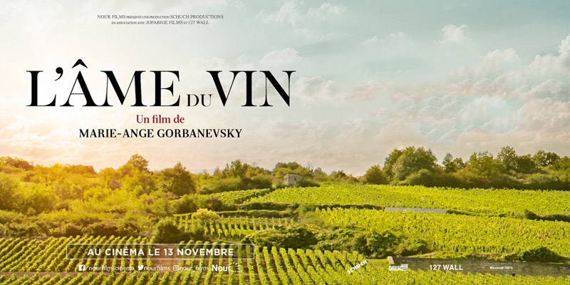 L'ame du vin | Marie-Ange Gorbanevsky - VINUM