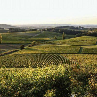 Le Bergeracois et Duras