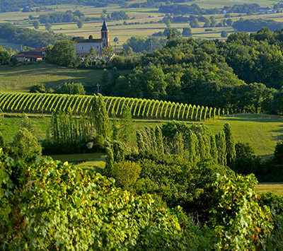Pacherenc-du-vic-bilh