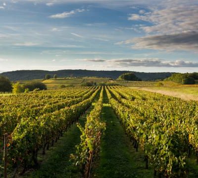 Cahors