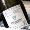 VINUM - Artigianale Prosecco DOC