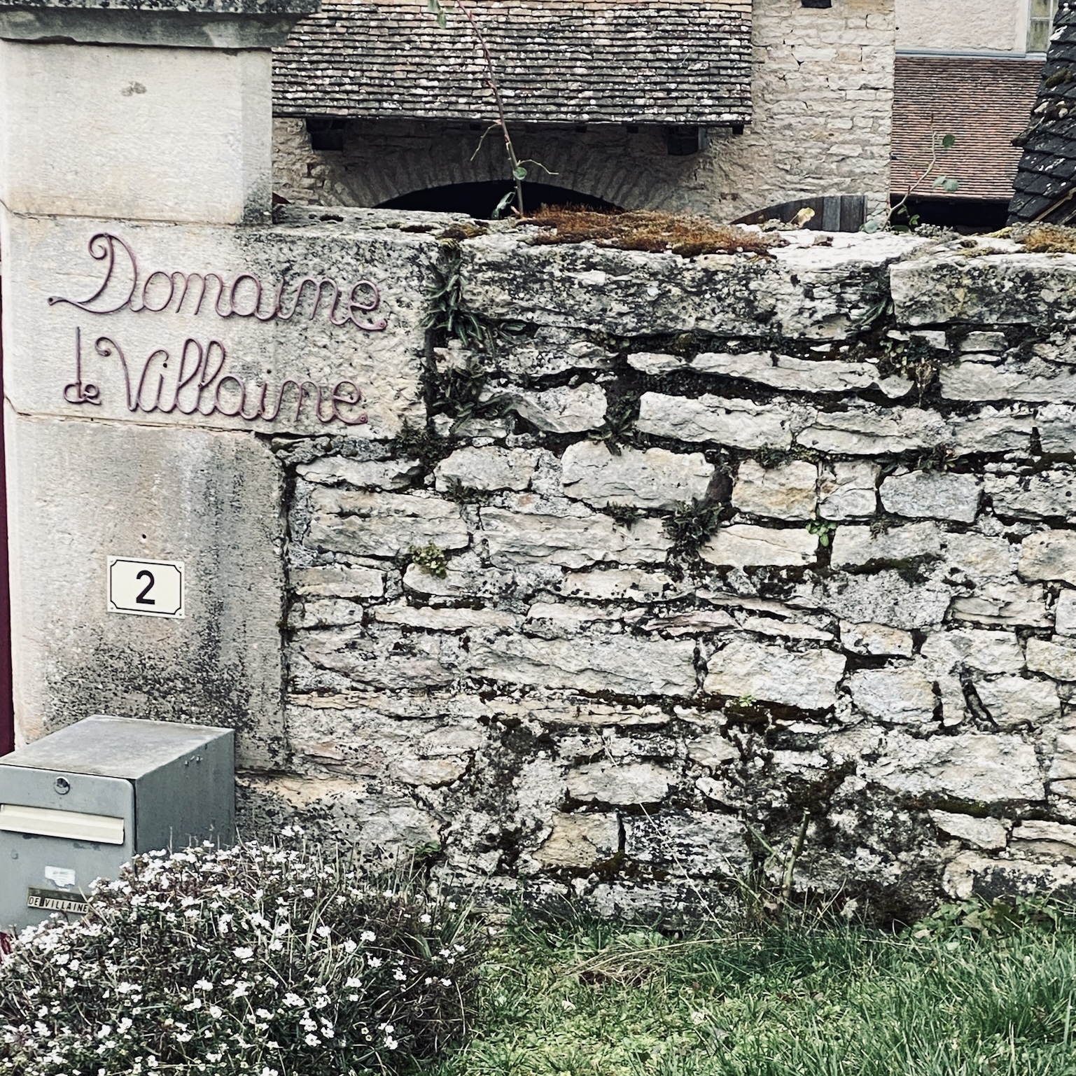 VINUM - Domaine de Villaine, Bouzeron, Bourgogne