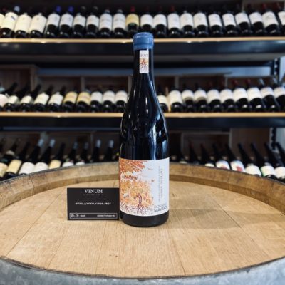 VINUM - Domaine Mayard Côtes du Rhône