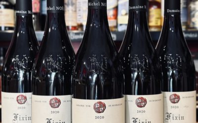 Le Fixin du Domaine Michel Noëllat : un Pur Trésor Bourguignon