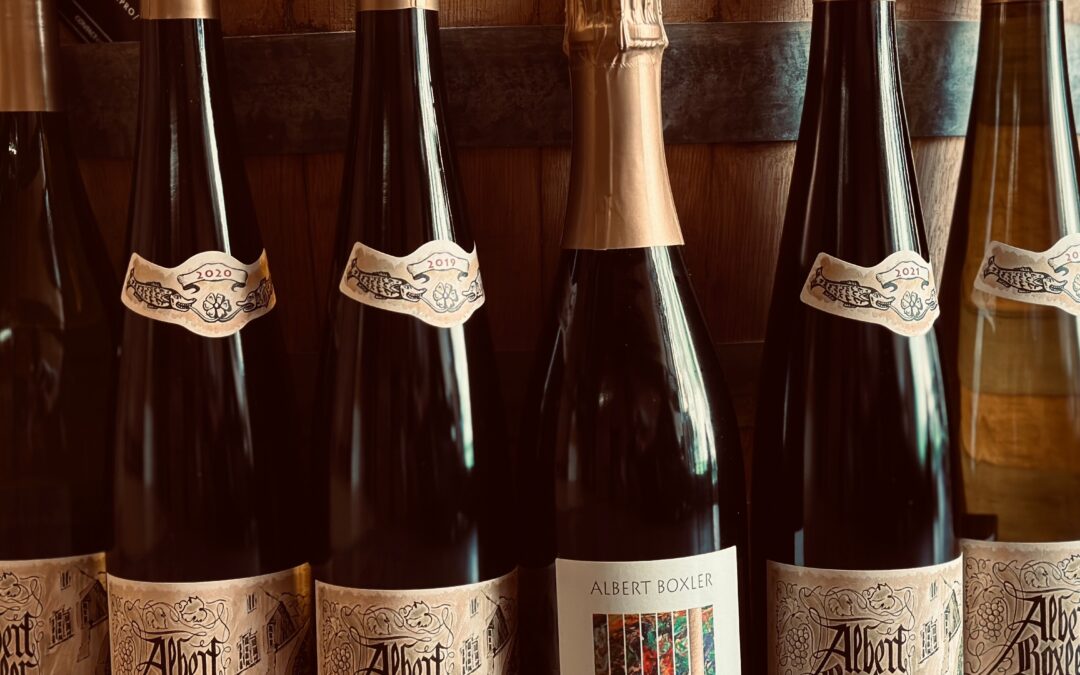 Le Domaine Albert Boxler : un vignoble d’exception en Alsace