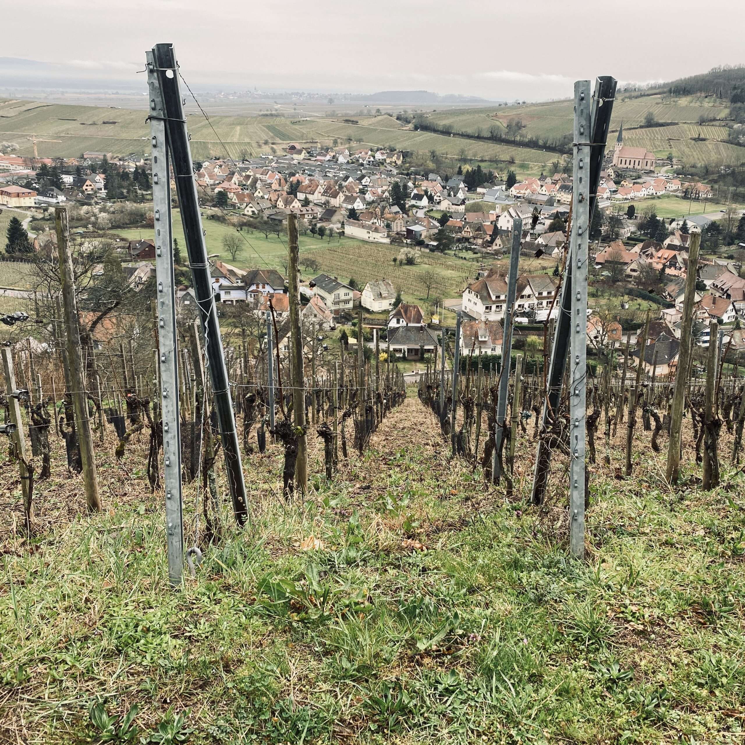 VINUM - Domaine Marc Kreydenweiss - Antoine Kreydenweiss Alsace