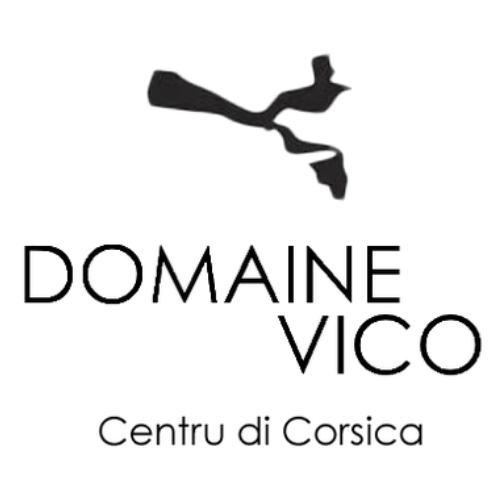 Vico