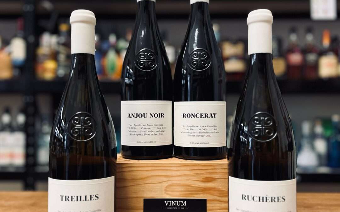 Domaine Belargus : la nouvelle étoile de l’Anjou qui redéfinit le Chenin